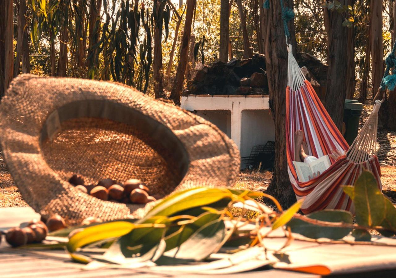 Cerro Da Fontinha Guest House São Teotónio Rom bilde